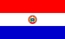 Nacionalinės vėliavos, Paragvajus